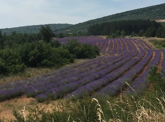 19c Provencal Stone House With Private Pool Near Uzes